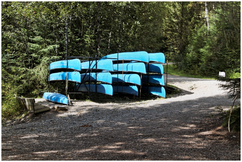 04 - Wells Grey RP (4).jpg